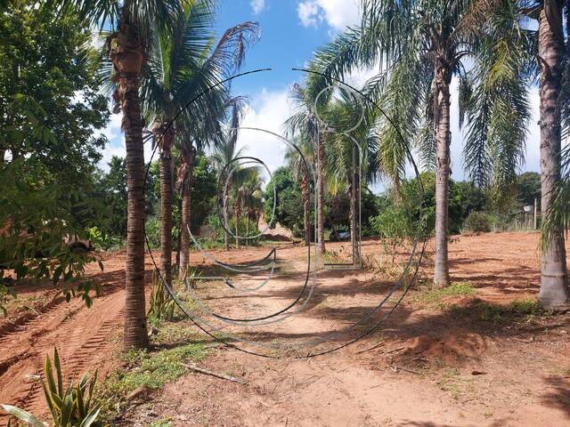 #6280 - Chácara para Venda em Marília - SP - 3