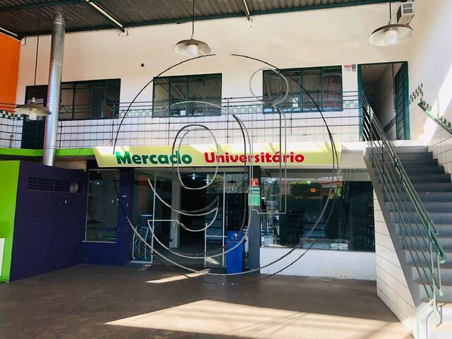 Locação em Jardim Araxá - Marília