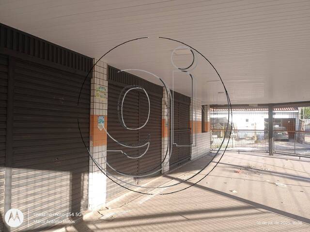#8060 - Sala Comercial para Locação em Marília - SP - 3