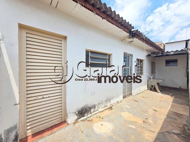 #7686 - Edícula para Locação em Marília - SP - 2