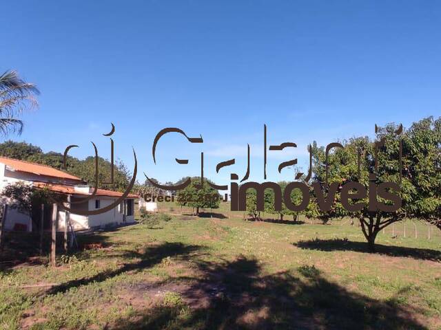 #8291 - Chácara para Venda em Marília - SP - 3