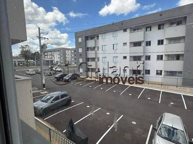 #8480 - Apartamento para Locação em Marília - SP - 1